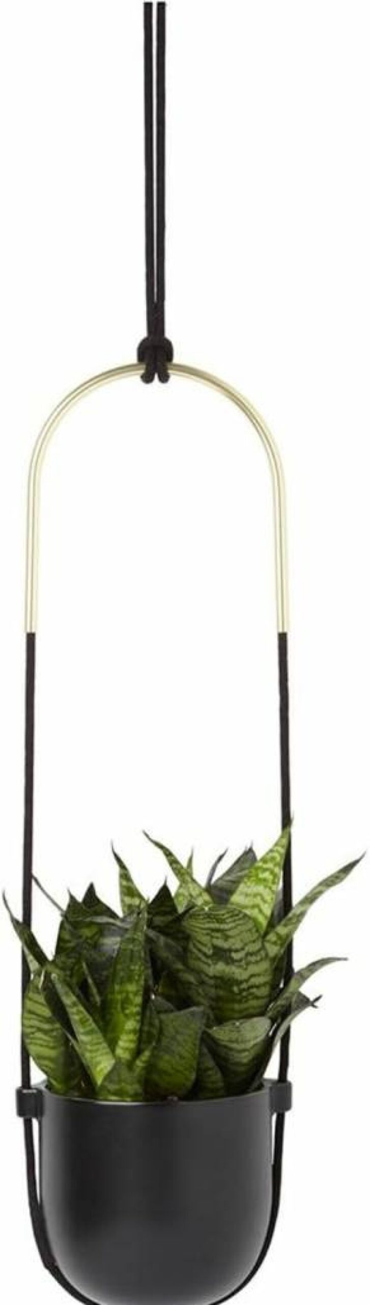 Umbra Bolo Twin Hanging Planter - Modern Indoor/Outdoor Plant Pots for Home Decor