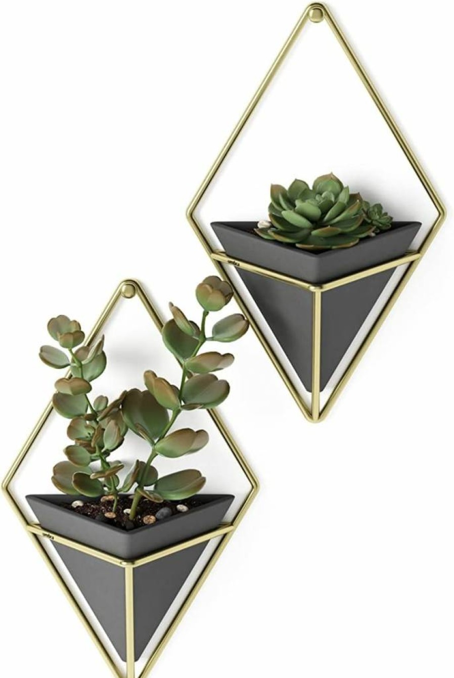 Umbra Trigg Large Hanging Planter Vase - Modern Wall Decor for Succulents, Cactus, and Faux Plants in Black/Brass Finish