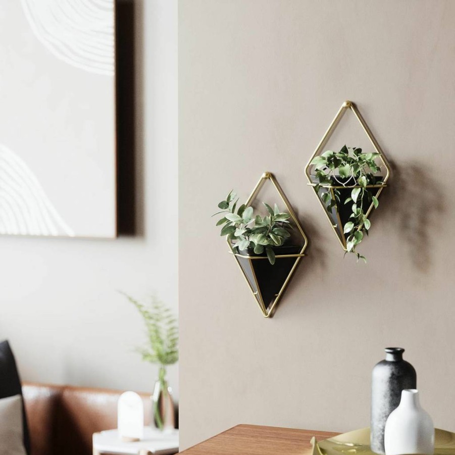 Umbra Trigg Large Hanging Planter Vase - Modern Wall Decor for Succulents, Cactus, and Faux Plants in Black/Brass Finish