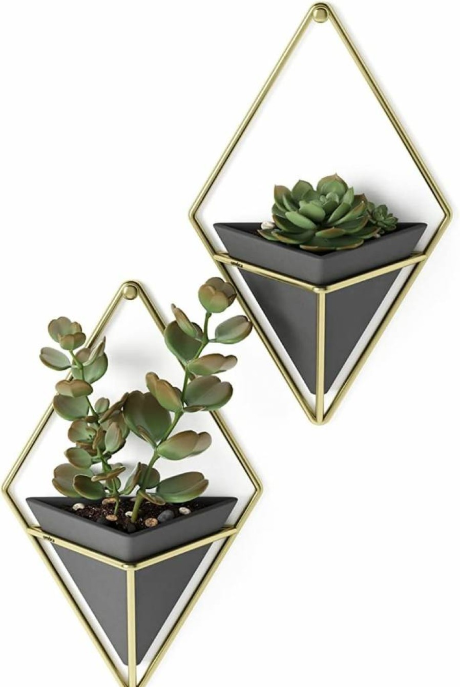 Umbra Trigg Large White/Nickel Hanging Wall Planter for Succulents, Cactus & Faux Plants - Modern Home Decor Vase