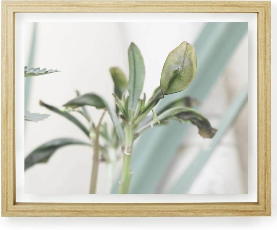 Umbra 13x16 Inch Black Modern Floating Document Frame for 11x14 Photos, Certificates, Diplomas, and Artwork Display