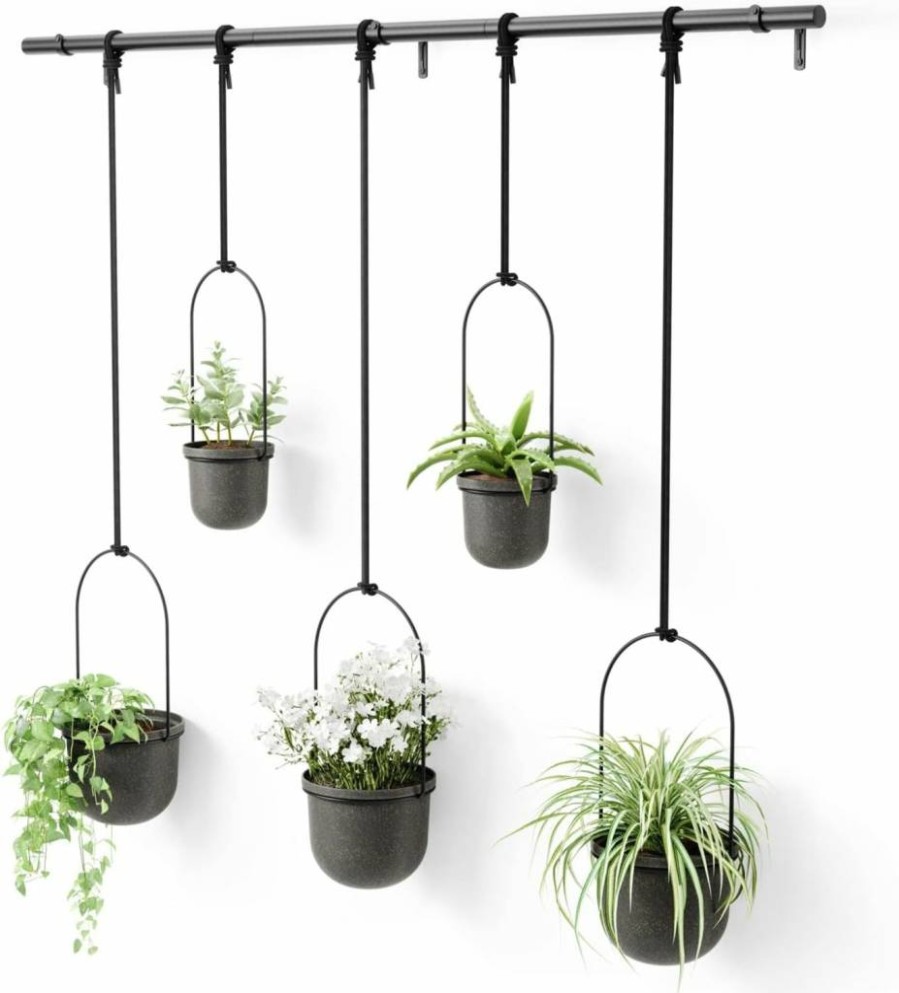 Umbra Triflora Hanging Planter Set of 5 - White/Brass Indoor Herb Garden Window Decor