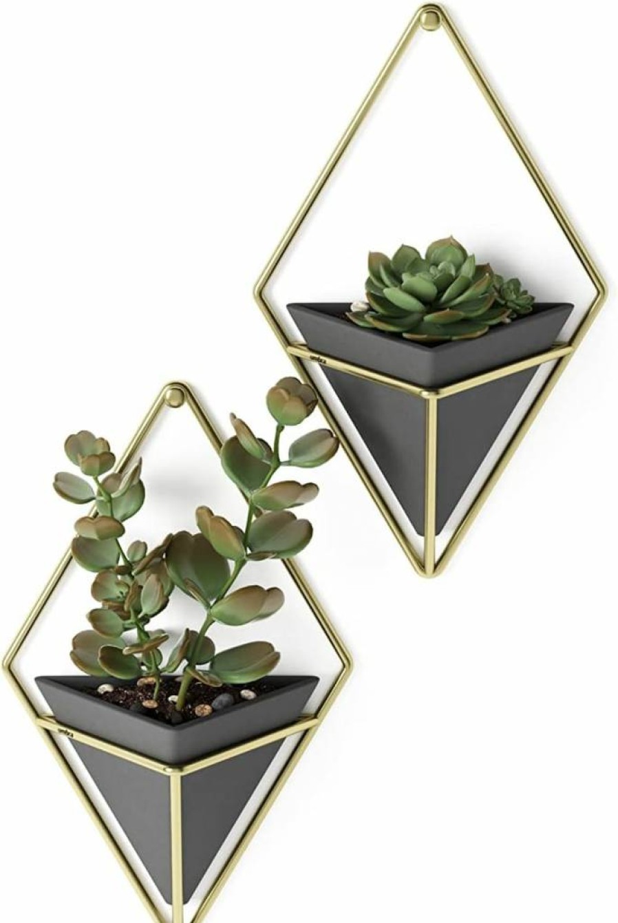 Umbra Trigg Hanging Wall Planter Set of 2 - Small Grey/Copper Pots for Succulents, Cactus, Air Plants, and Home Decor